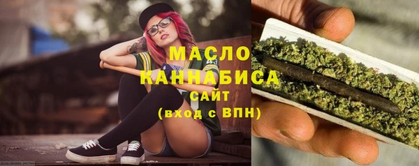 крисы Козловка
