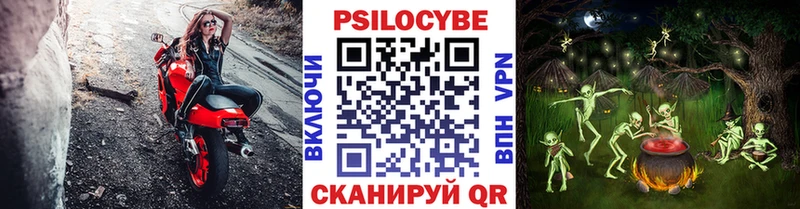 Псилоцибиновые грибы Psilocybe  купить наркотики цена  Ачхой-Мартан 